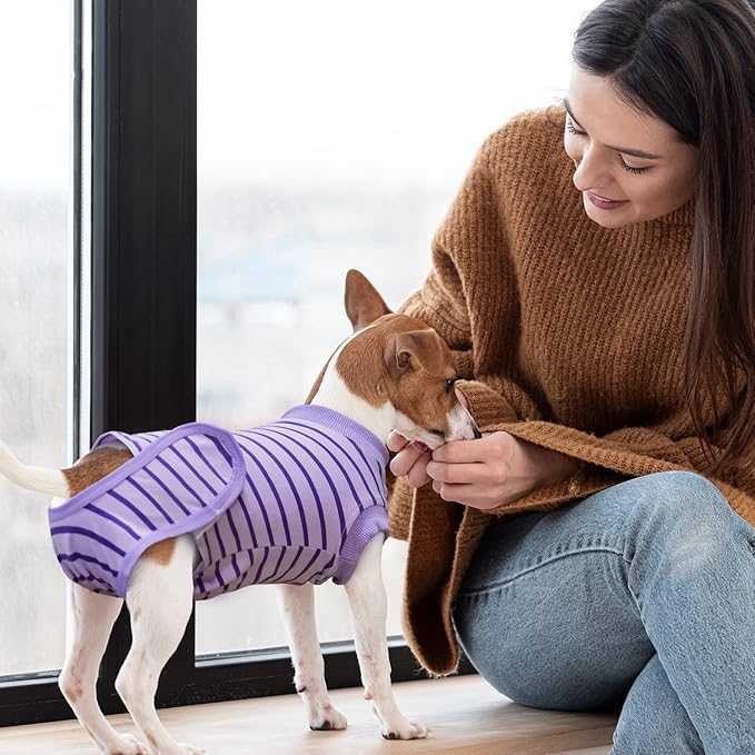 Dog Recovery Suit, Surgical Recovery Suit for Male Female Dogs Cats Spayed Onesie After Surgery, Dog Post Surgery Suit Anti Licking & Biting Surgical Shirt with Pee Hole,Purple Medium