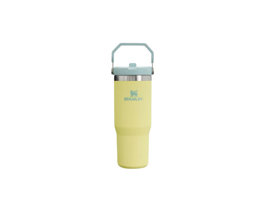 Stanley IceFlow Straw Tumbler 30 oz