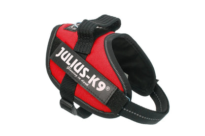 Julius-K9® IDC® Powerharness