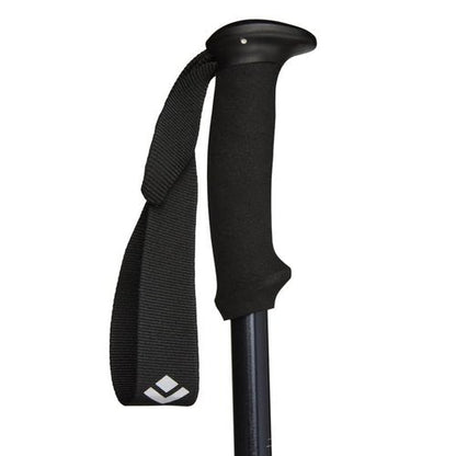 Black Diamond Explorer 2 Trekking Poles, Ink Blue