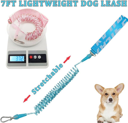 WYuZe 5FT Puppy Leash + Chew Proof Dog Leash with Shock Absorption for Small Dogs, Blue