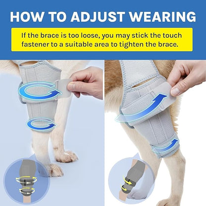 Dog Knee Brace for Torn ACL, Rear Leg Support for Joint Pain Relief and Ligament Injuries, Silver, XL