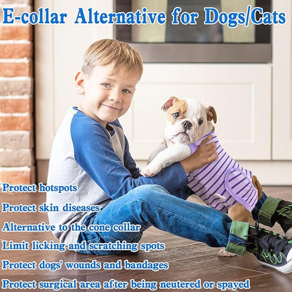 Dog Recovery Suit, Surgical Recovery Suit for Male Female Dogs Cats Spayed Onesie After Surgery, Dog Post Surgery Suit Anti Licking & Biting Surgical Shirt with Pee Hole，Purple Medium