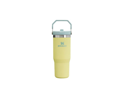 Stanley IceFlow  Straw Tumbler 30 oz