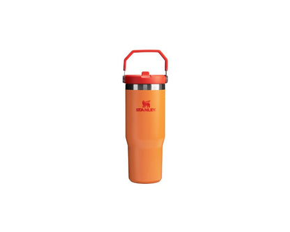 Stanley IceFlow  Straw Tumbler 30 oz