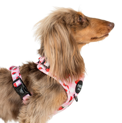 Strawberry Fields: Adjustable Harness