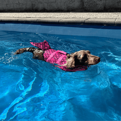 Mermaid Dog Life Jacket